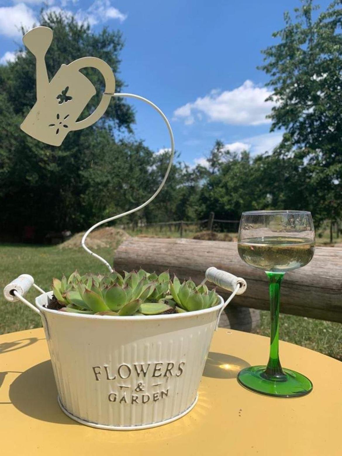 Maison D Hotes Spa Pivoine Et Colibri Domfessel エクステリア 写真